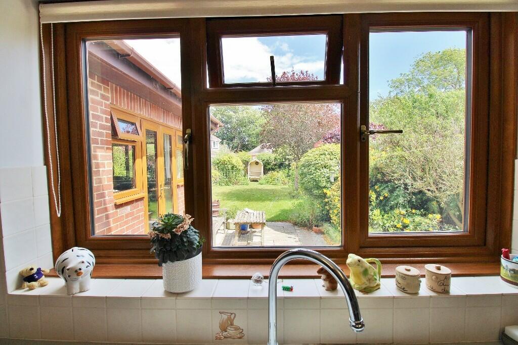 IMG_5527 (1024x68...