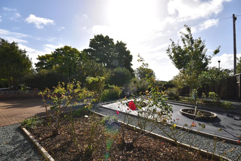 Front garden.JPG