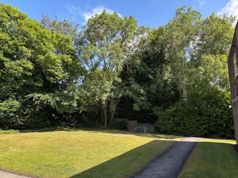Communal Gardens