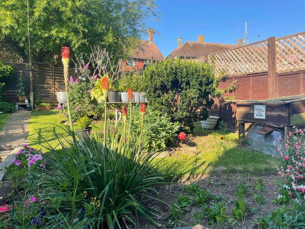 Garden in the summer