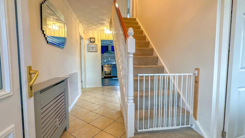 The Long Shoot - Image-18.jpg