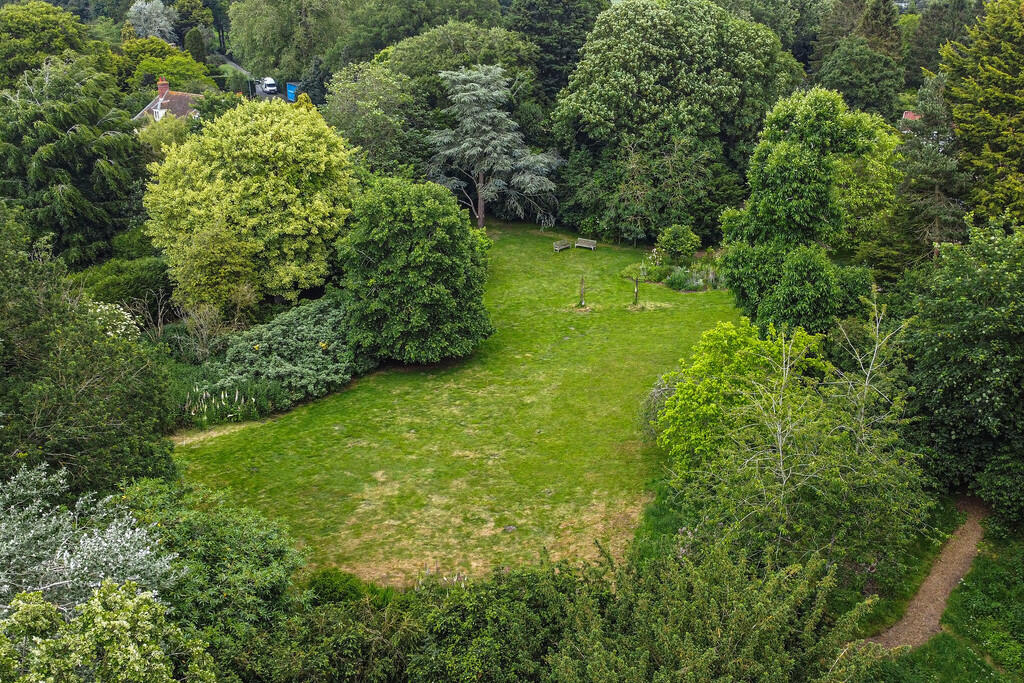 PT-DB(WP)-WillowH...