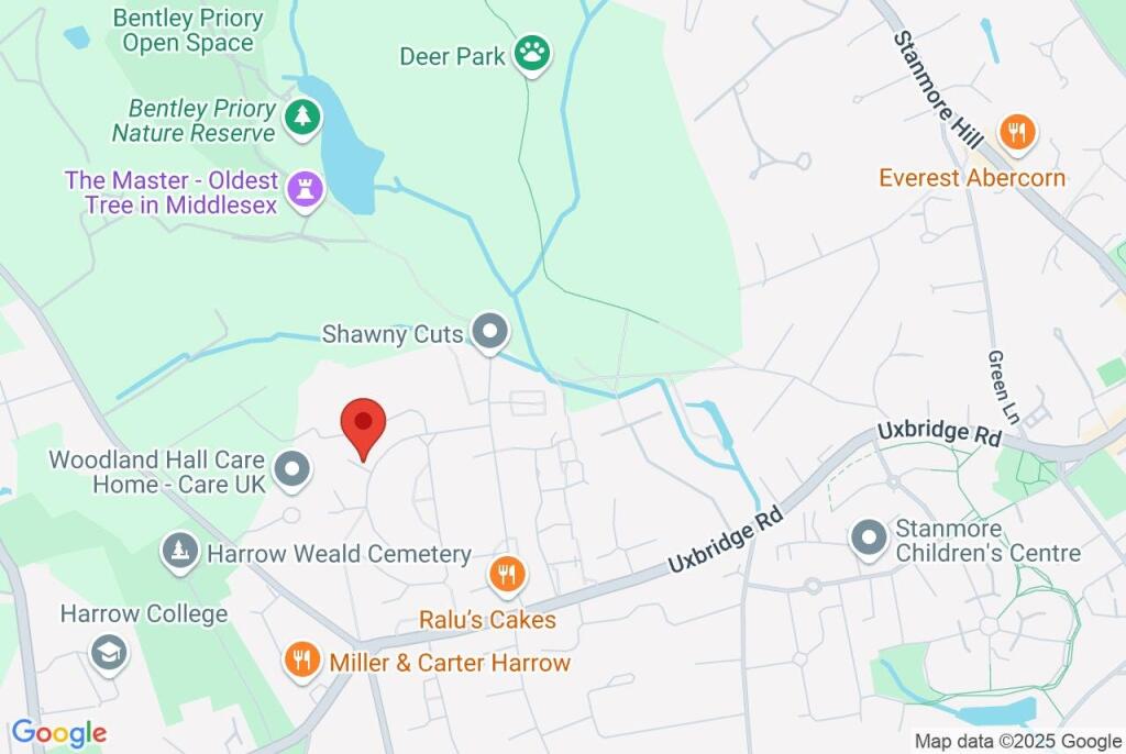 Google Maps Image