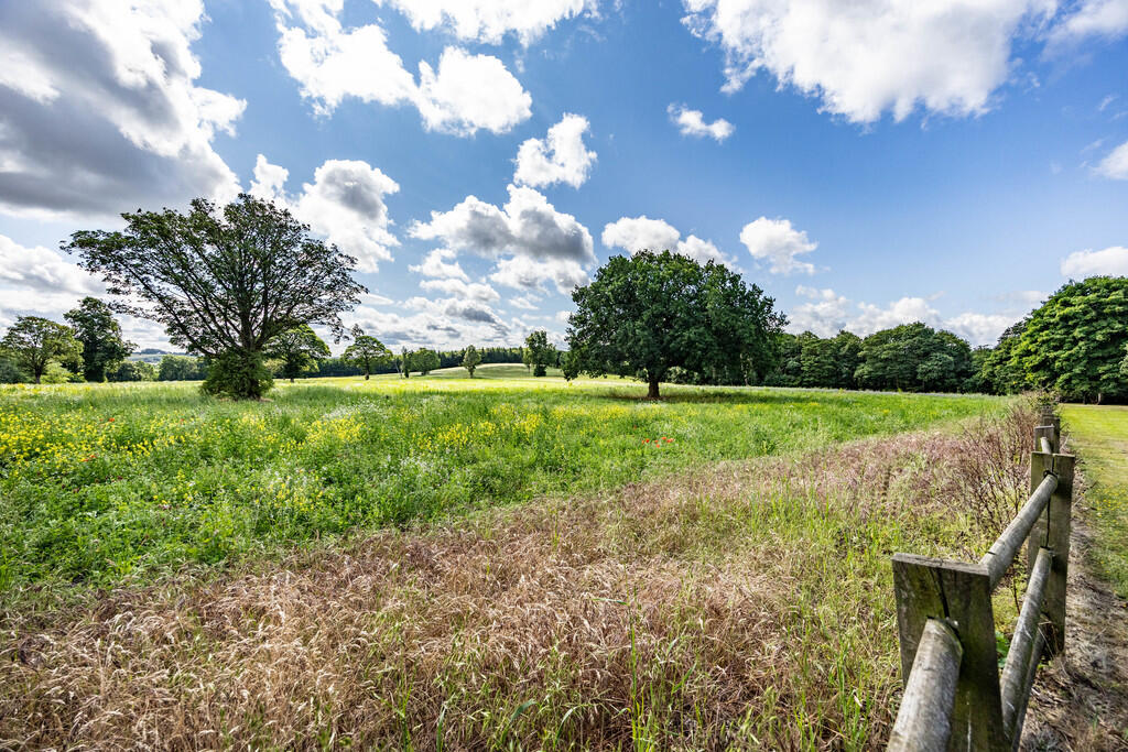 TBKHBrig-260625-5...