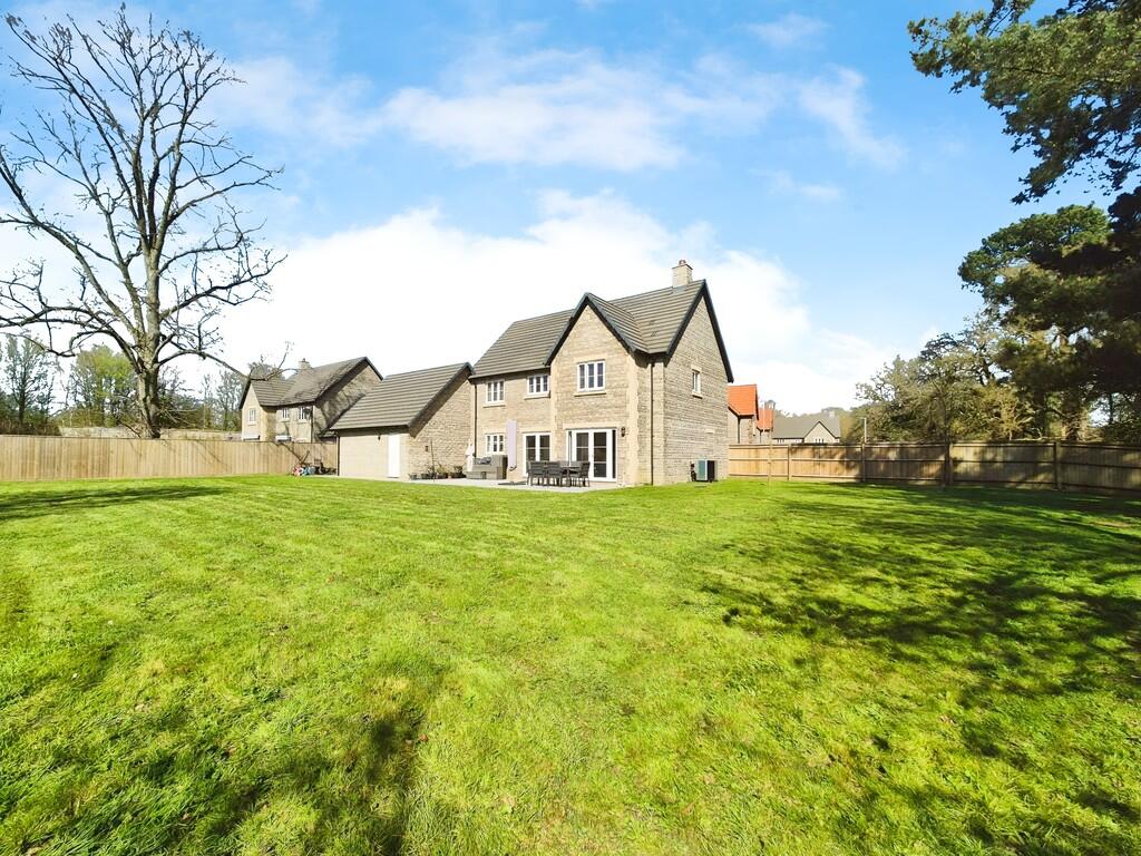 84ee50e9-10000252...