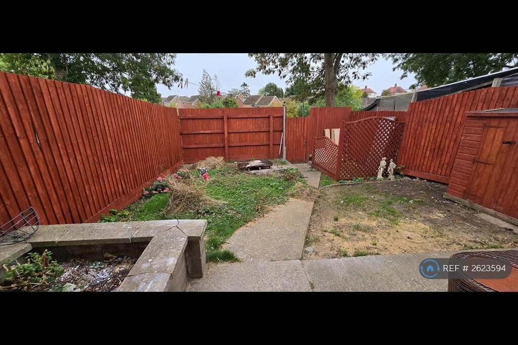 Back Garden
