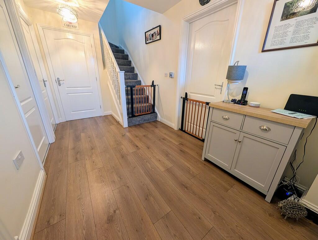 PXL_20250212_1141...