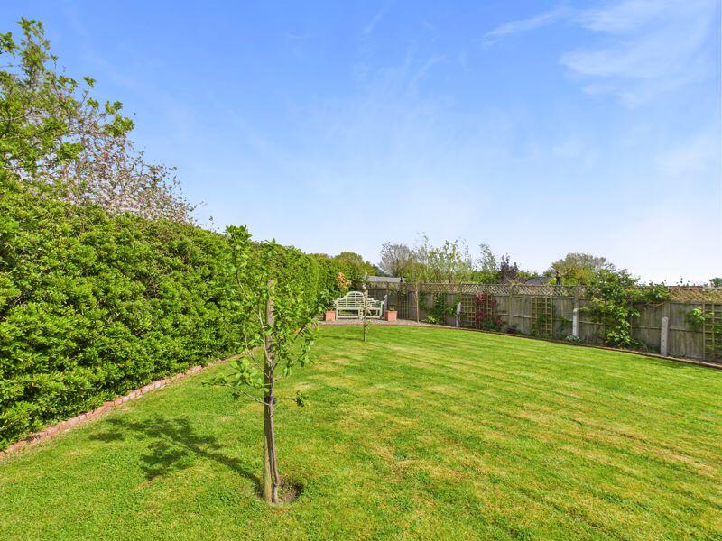 Garden 1