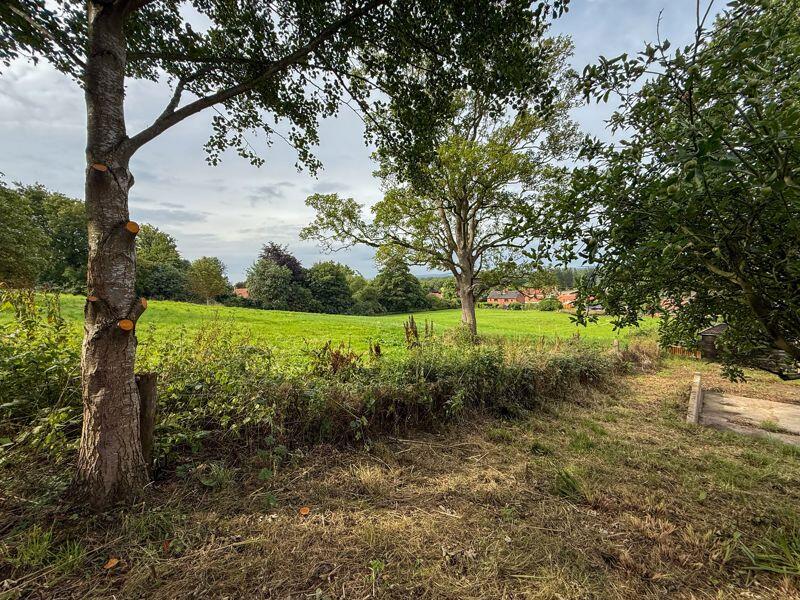 Site Photo
