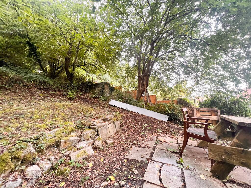 Garden (2).jpg