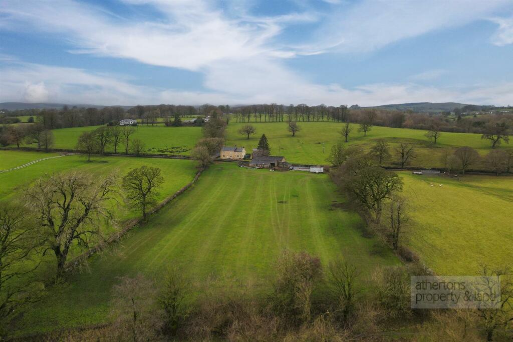DJI_0484.jpg