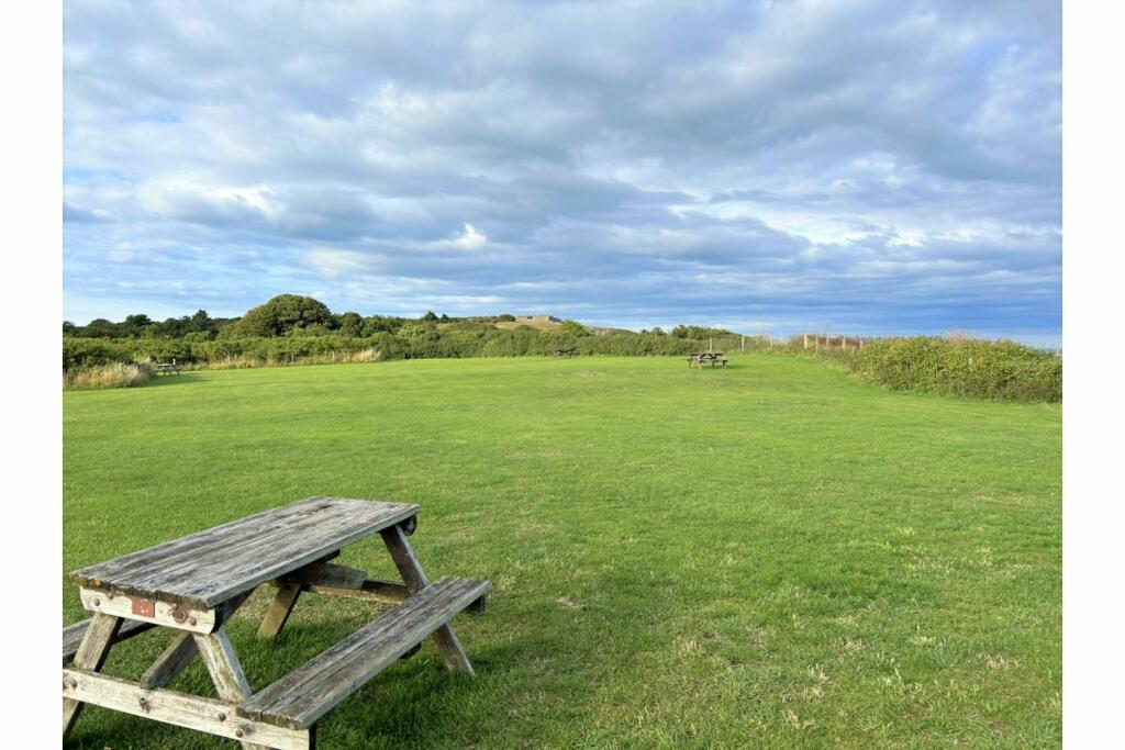 The Park