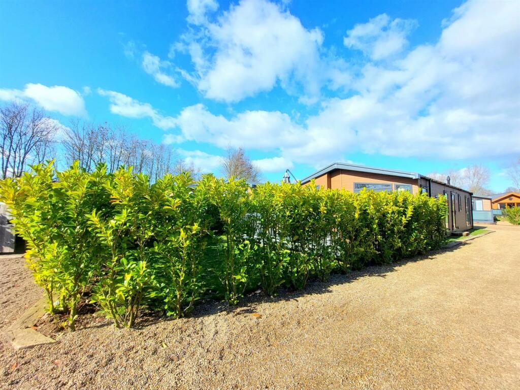 WhatsApp Image 2023-03-10 at 14.07.22.jpeg