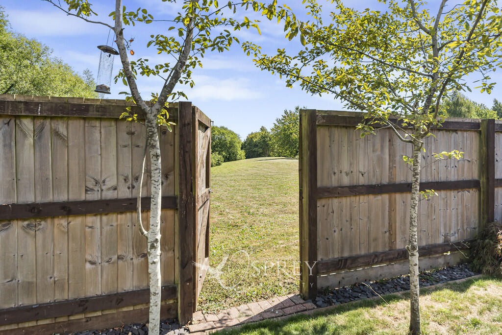 View through the ...