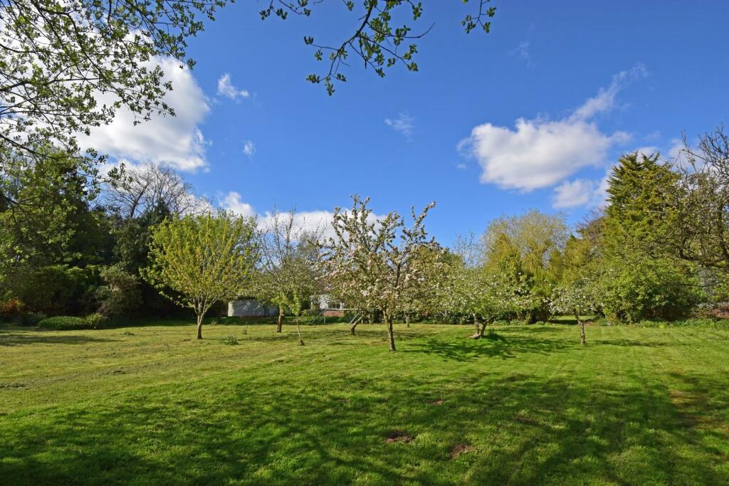 Ridgeway, garden orchard c.jpg