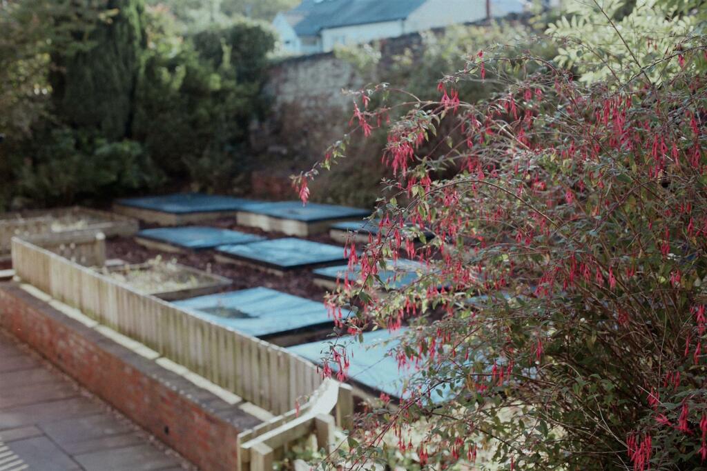 Garden .jpg