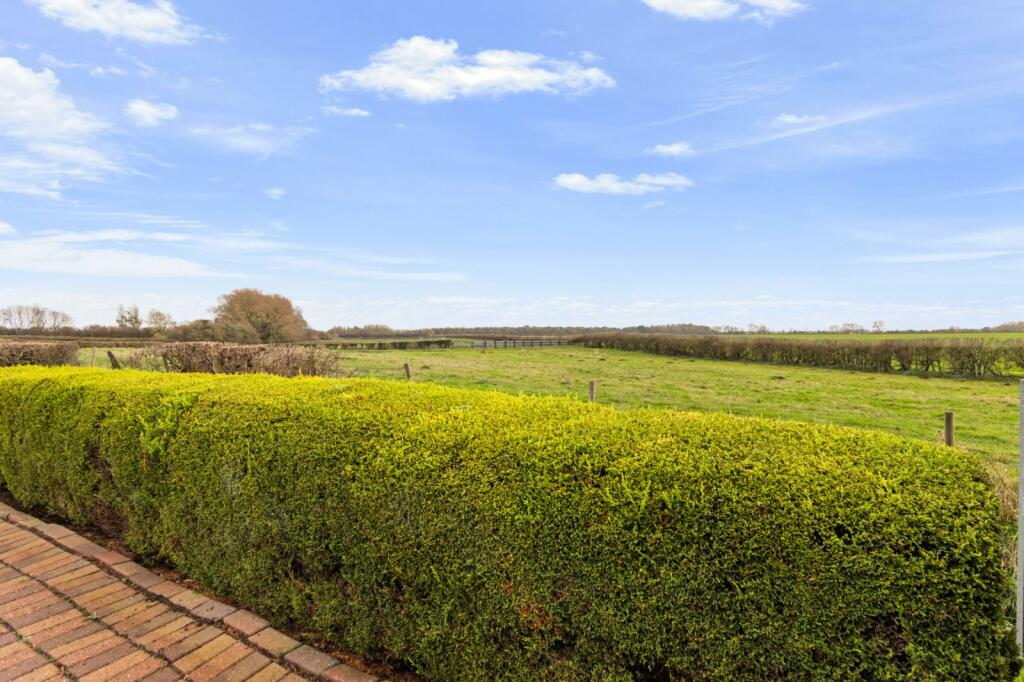 Fields Views