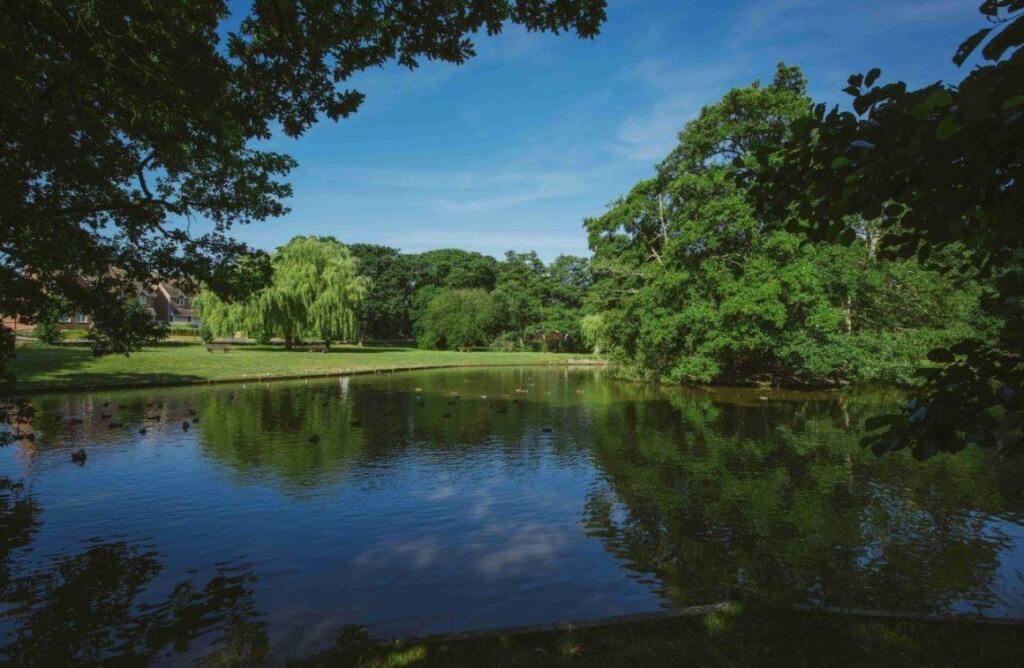 Close to Ballard Lake