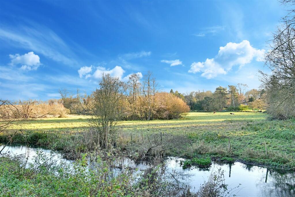 Fields.jpg