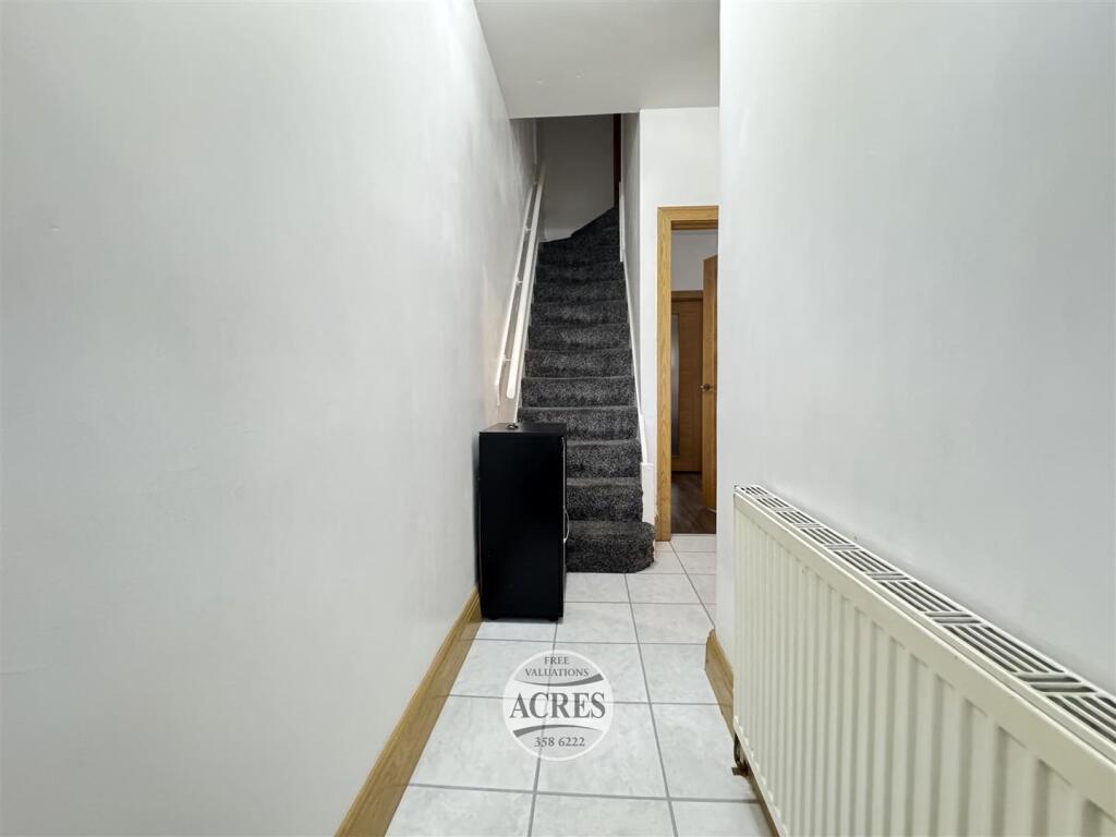 IMG_1338 (Large).jpg