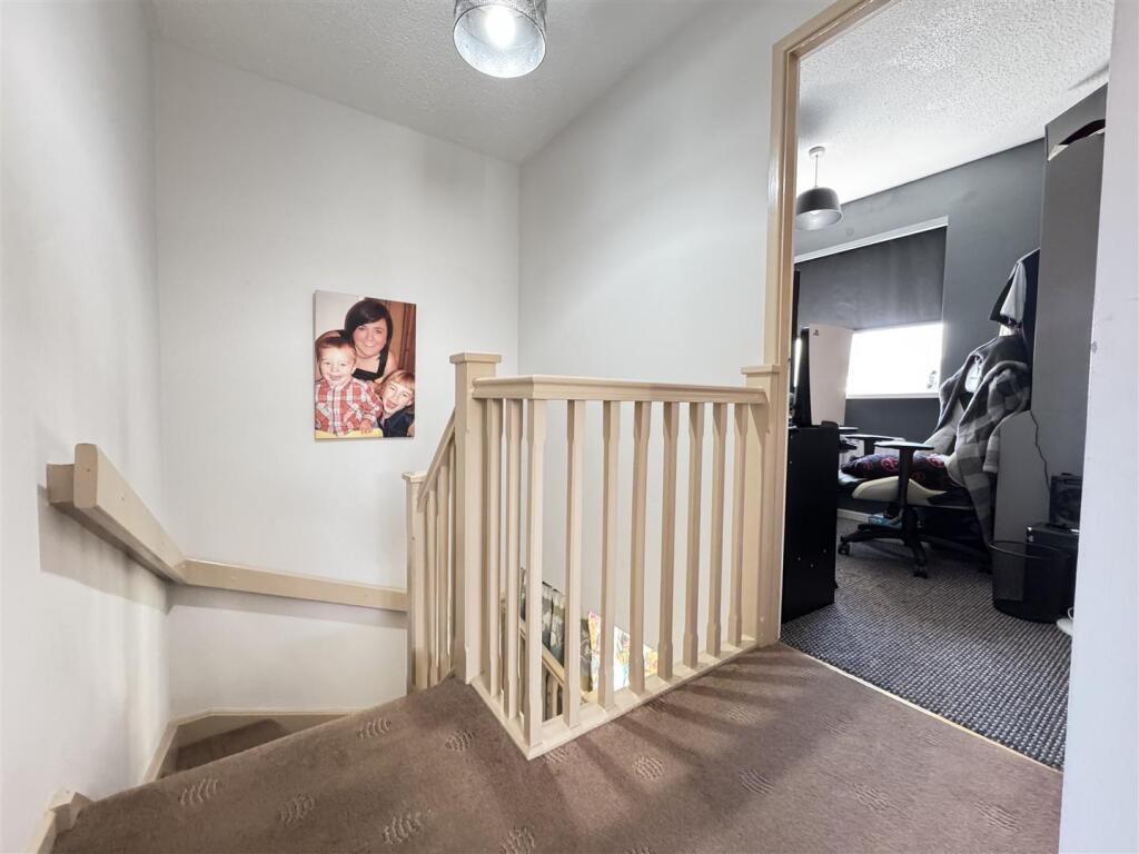 IMG_9928 (Large).JPG