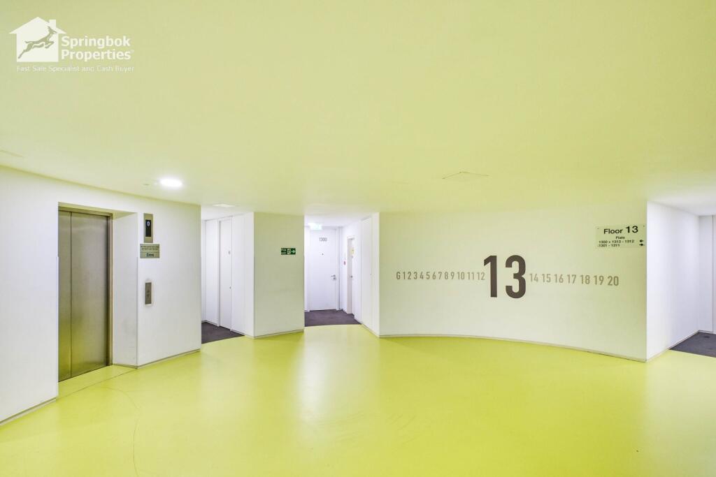 IMAGE 12