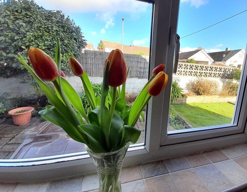 Kitchen Overlooking Patio