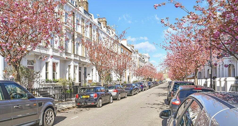 Spring Blossom!