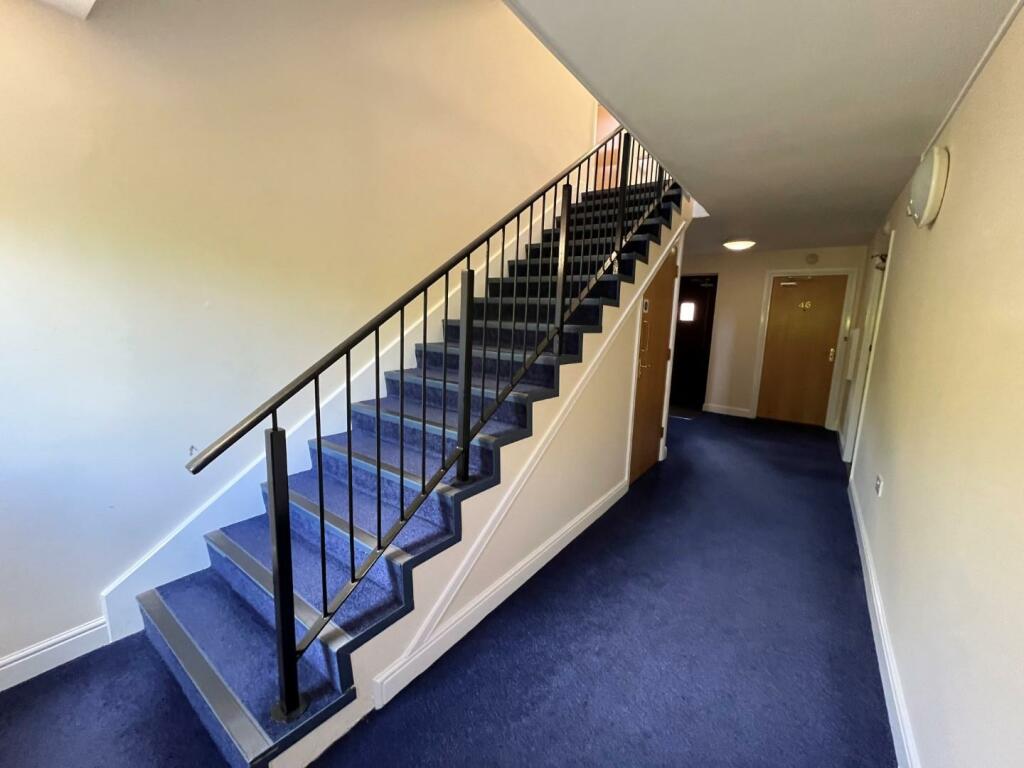 communal 1.jpg
