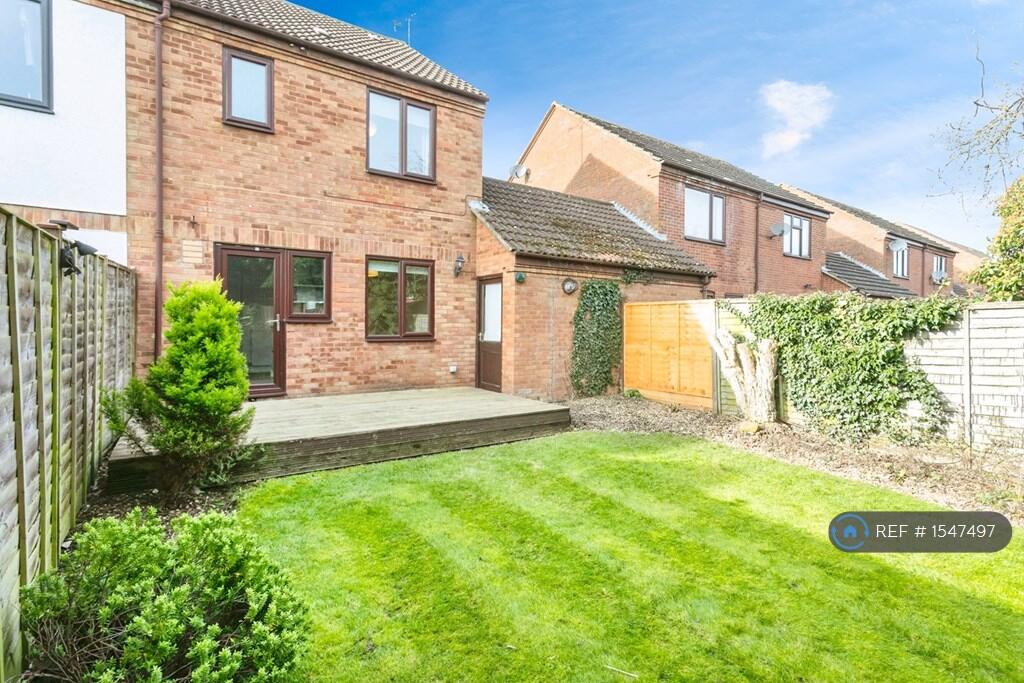 Back Garden