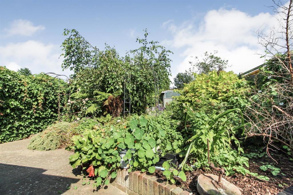 GARDEN 1.jpg