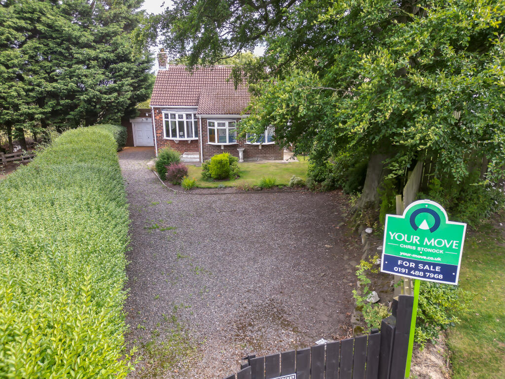 DJI 0317 T202507310831.jpg