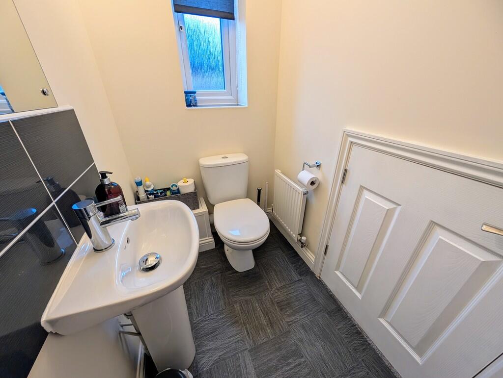 PXL_20250212_1107...