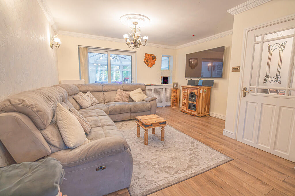 20251015-DSC06980...