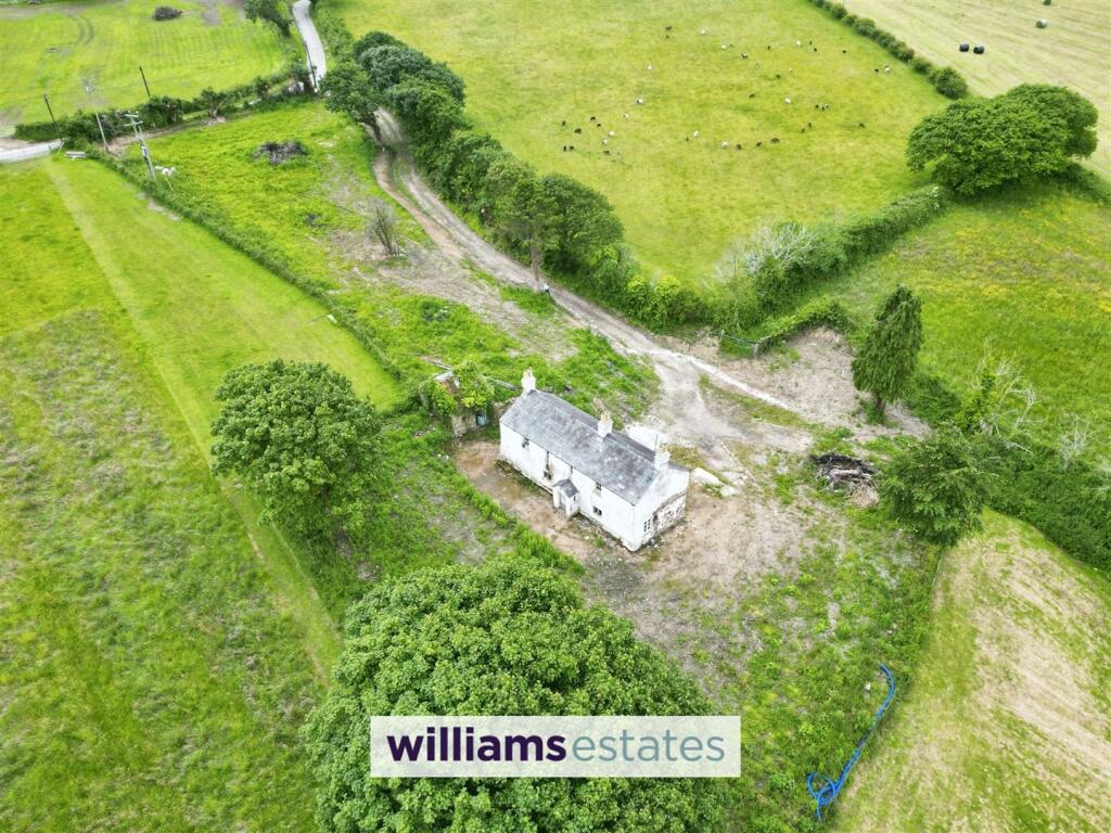Aerial Shot