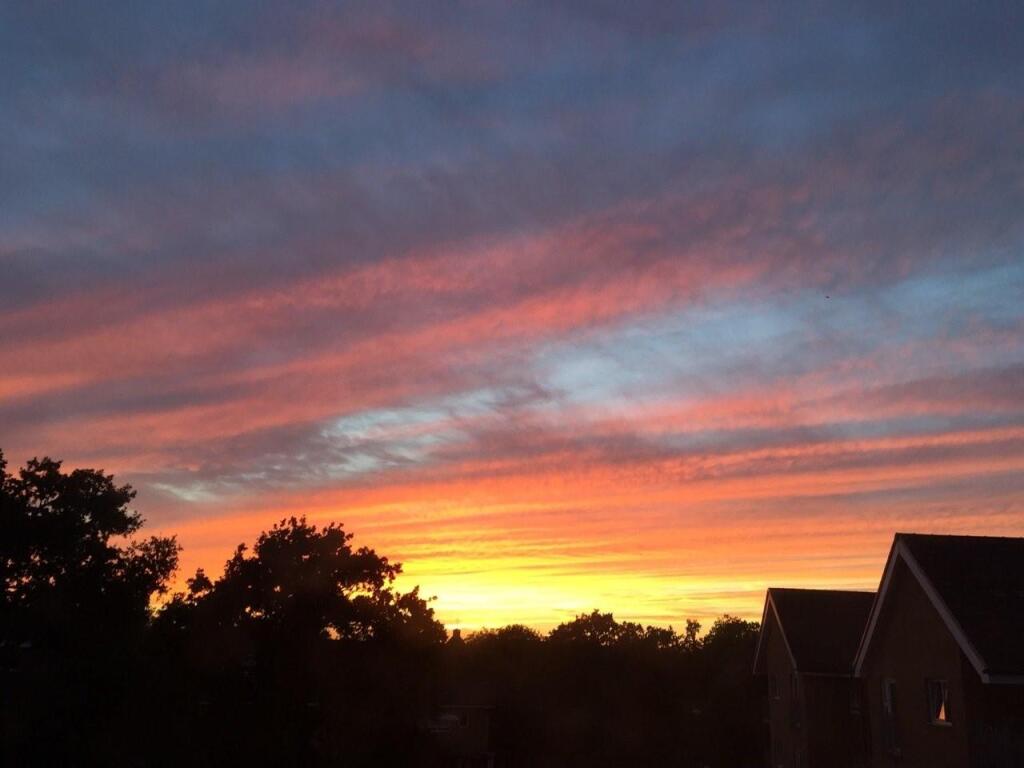 Views