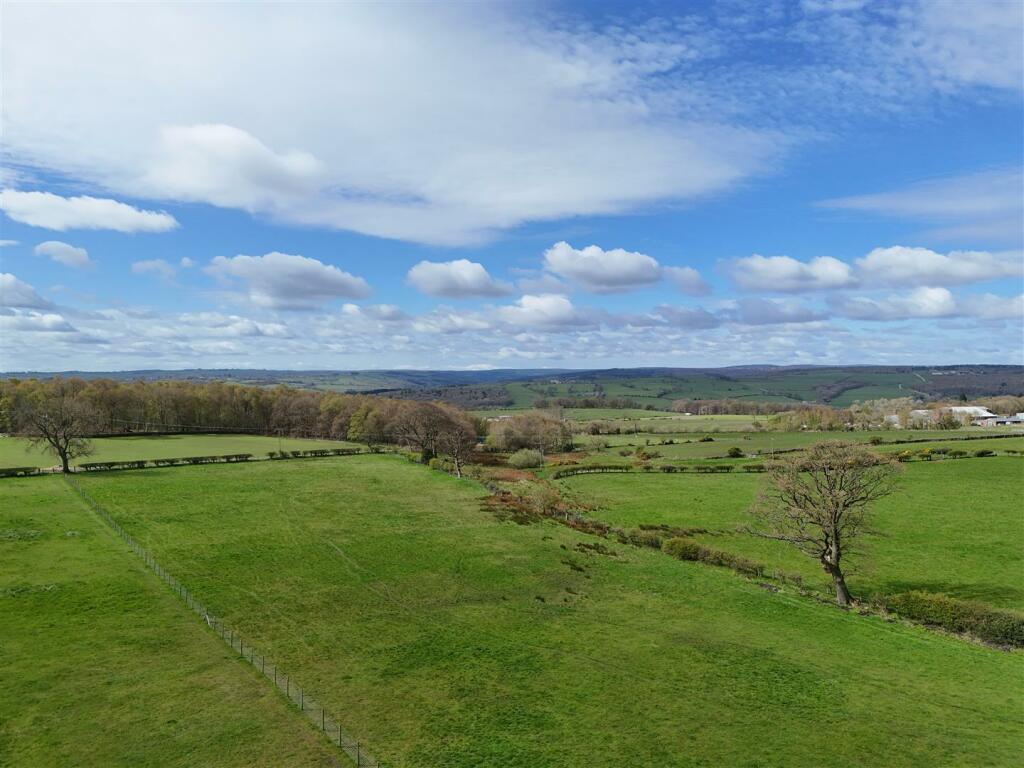 DJI_20240420110928_0041_D.JPG