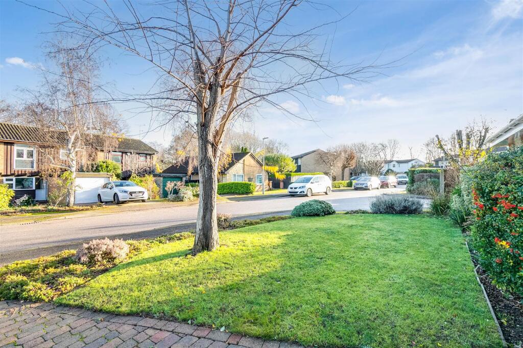 Dents Close 32-6.jpg