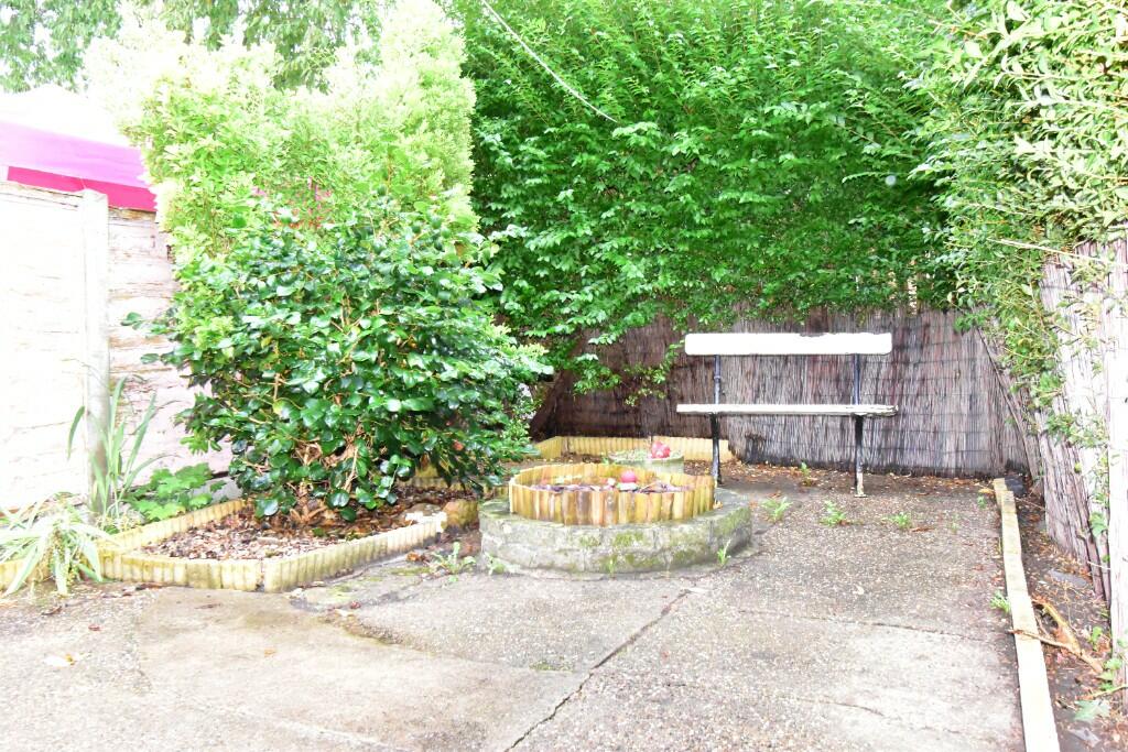 Rear Yard 