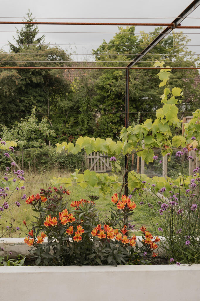 302383 - Birch House, Peasenhall-50.jpg