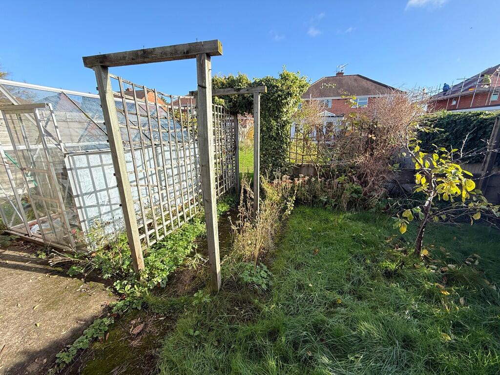 Garden with green...