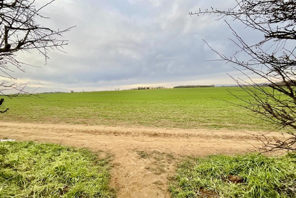 Open Fields 