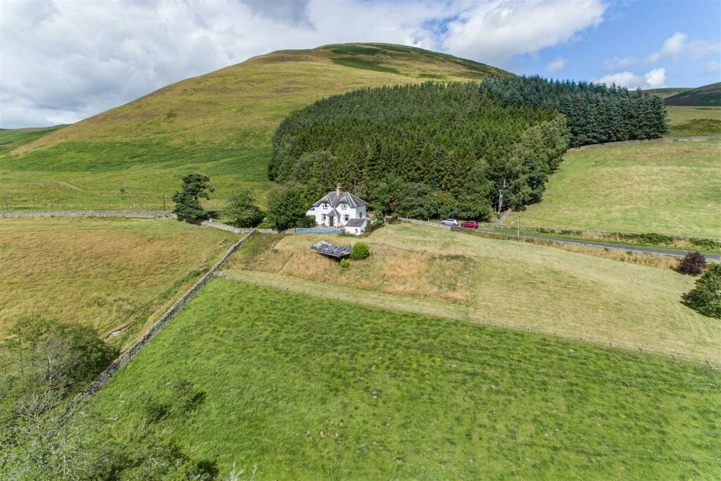 Ladyside Ettrick Valley 66.JPG