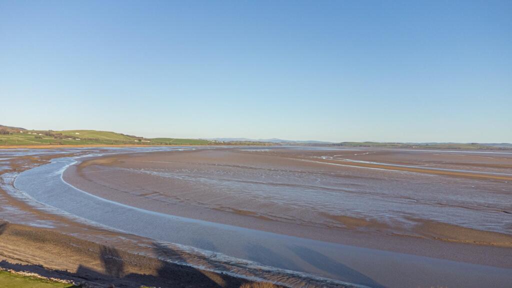 Aerial Image