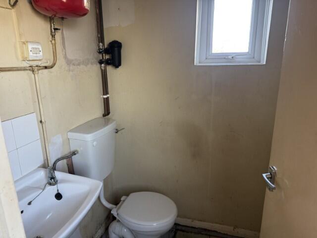 5  Small  T202510301312.jpg