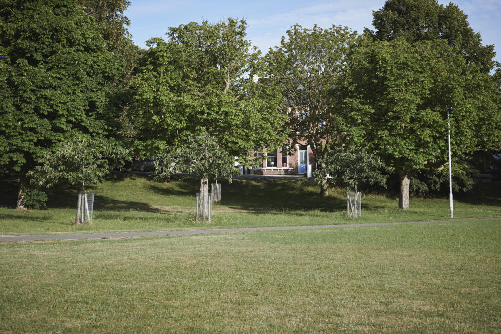 295871 - DSC06652.jpg