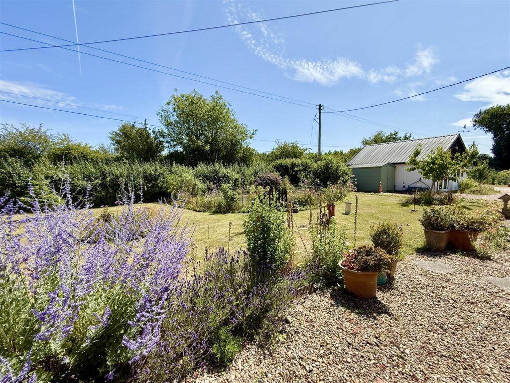 garden