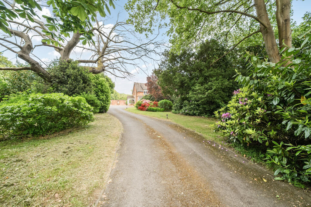 Driveway