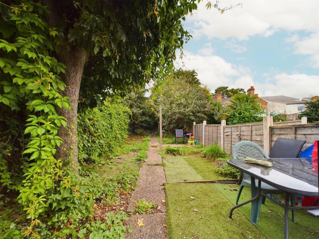 Garden (Previous Summer Photo)