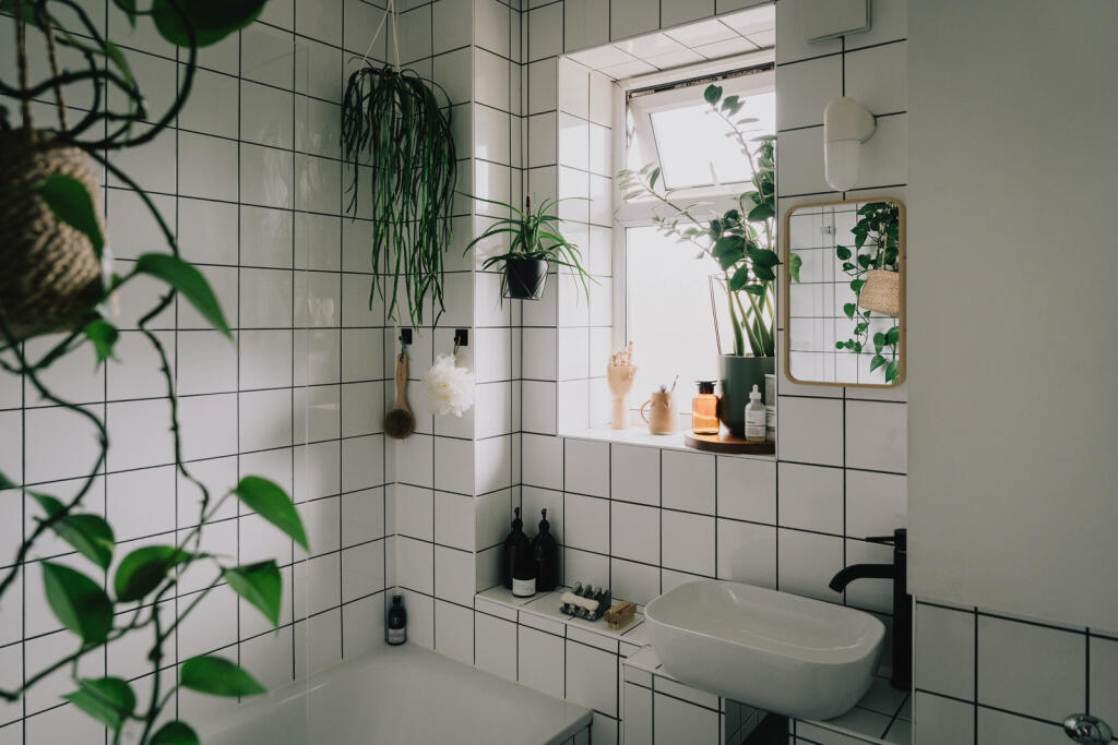 264192 - DSC08109.jpg